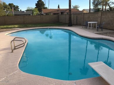 Pool and yard