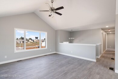 334 Valhalla Trace, Vine Grove, KY 40175 - photo 5