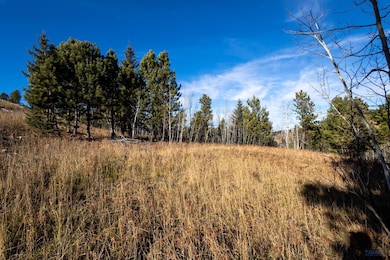 Lot 43 Golden Hills Dr, Sturgis, SD 57785 - photo 6