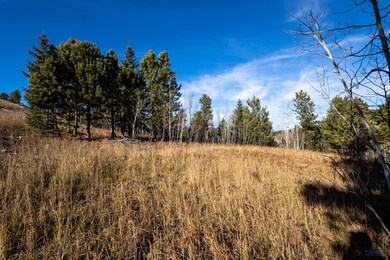 Lot 43 Noble Grand Loop, South Lawrence, SD 57785 - photo 6