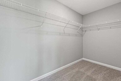 20241231191605565227000000-o