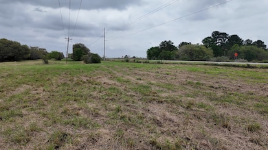 000 Pintail Ln, Columbus, TX 78934 - photo 3