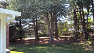DSC06894