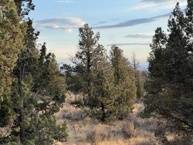 IMG_4331