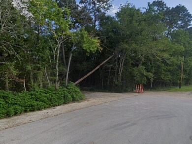 TBD Clearview Ave, Friendswood, TX 77546 - photo 6