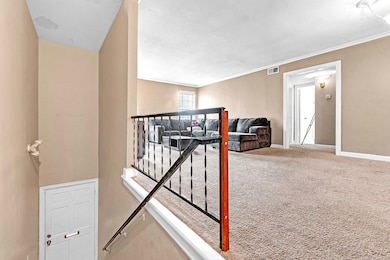 Staircase with carpet floors and crown molding