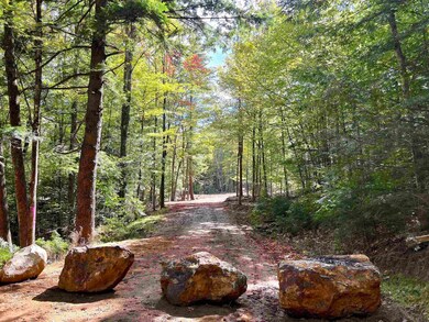 470 Daniel Webster Hwy, Plymouth, NH 03264 - photo 3