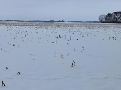 0 E 2nd St, Tampico, IL 61283 - photo 3