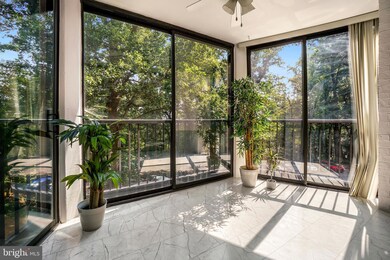 5901 Mount Eagle Dr unit 108, Alexandria, VA 22303 - photo 6