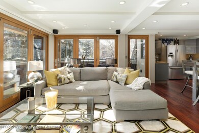 600 E Main St unit 210, Aspen, CO 81611 - photo 3