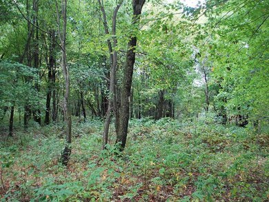 0 Irish Rd unit 28823, Venango Township, PA 16412 - photo 7