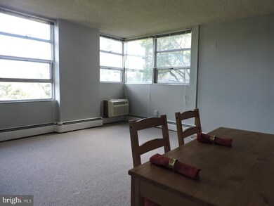 Radnor House unit 305, Bryn Mawr, PA 19010 - photo 5