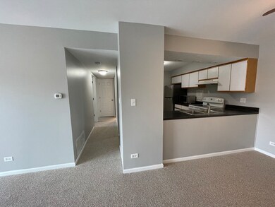 4400 Euclid Ave unit 2A, Rolling Meadows, IL 60008 - photo 7