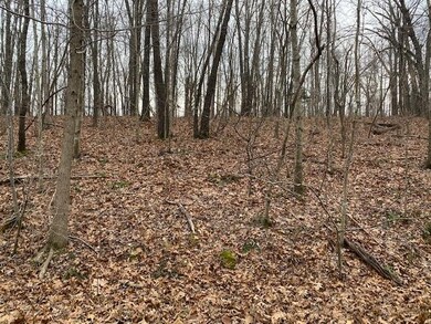 0 Devonshire (Lot 27) Ln unit 1172567, Bella Vista, AR 72715 - photo 6