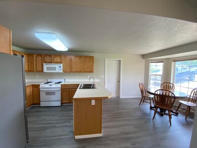 IMG_7493