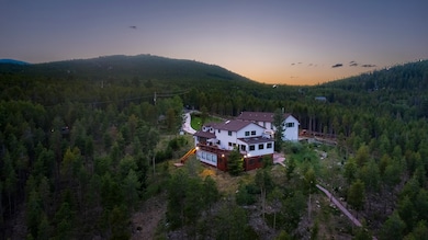 8641 S Warhawk Rd, Conifer, CO 80433 - photo 3