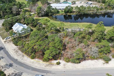 305 Royal Tern Way, Carrabelle, FL 32322 - photo 5