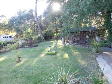 Backyard and Shed