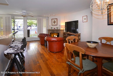 800 E Hopkins Ave unit A1, Aspen, CO 81611 - photo 2