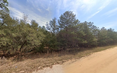 417 Theresa Ave, Interlachen, FL 32148 - photo 3