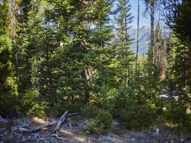 0 Hyalite Dr unit 208213, Big Sky, MT 59716 - photo 2