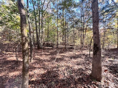 0 Pine Ridge Dr unit LotWP001, Elberton, GA 30635 - photo 7