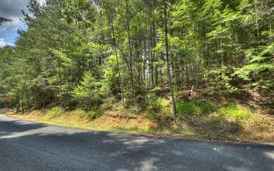 Additional View