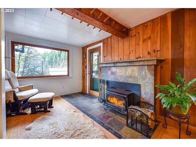 Fireplace Insert