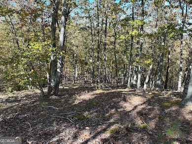 TR 3 Culp Lake Rd, Cedartown, GA 30125 - photo 4