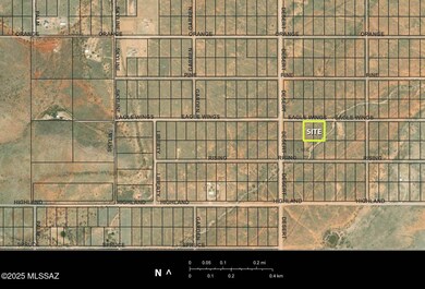 satellite map