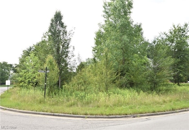 0 Saddlebrook Lot 153 Dr unit 4442592, Boardman, OH 44512 - photo 2