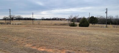 Lot 22 Bay Creek Ln, Gordonville, TX 76245 - photo 4