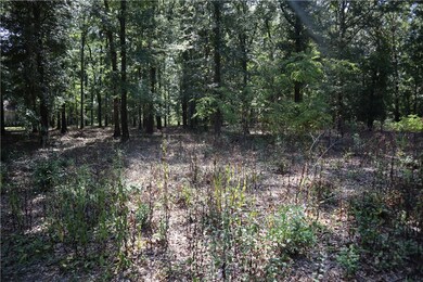 110 Shadow Moss, Eufaula, AL 36027 - photo 6