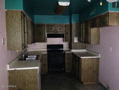 photo 1 (3)