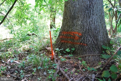 Lot 31A Dawn Ln, Shannondale, WV 25425 - photo 4