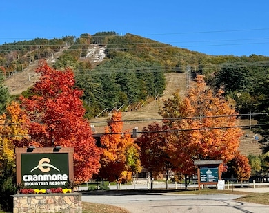 235 Skimobile Rd unit 1305, Conway, NH 03860 - photo 2