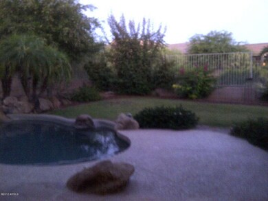 Back yard