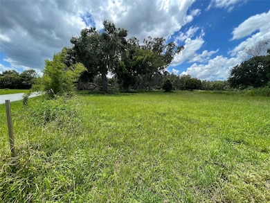 26831 Bloomfield Ave, Yalaha, FL 34797 - photo 5