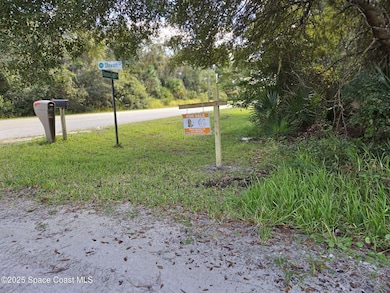 4600 Beacon Light Rd, Edgewater, FL 32141 - photo 6