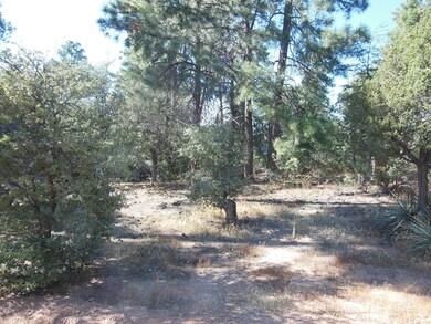 1008 N Chalet Cir, Payson, AZ 85541 - photo 4