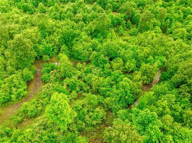 View of drone / aerial view