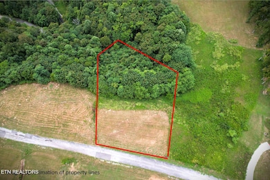 30B Bass Rd, Hilham, TN 38551 - photo 3