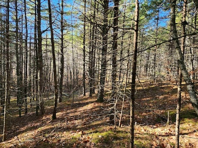 19 White Mountain Hwy, Wakefield, NH 03872 - photo 7