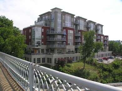 View from Walnut Street Bridge