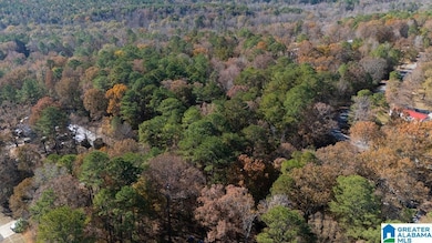 0 Jerry Dr unit 21437056, McCalla, AL 35111 - photo 3