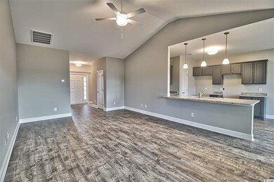 808 Twickenham Loop unit Lot 2, White Hall on, Longs, SC 29568 - photo 4