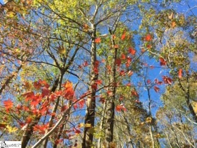 19 Grosbeak Way, Landrum, SC 29356 - photo 7