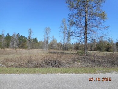 0 Sweetwater Cir unit 249833, Crawfordville, FL 32327 - photo 3