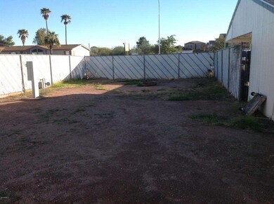 Backyard 1