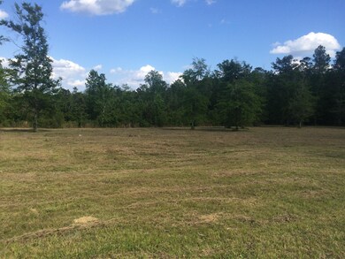 9.3 Acres R Moran Rd, McHenry, MS 39561 - photo 7